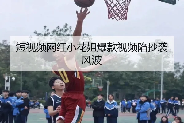 短视频网红小花姐爆款视频陷抄袭风波
