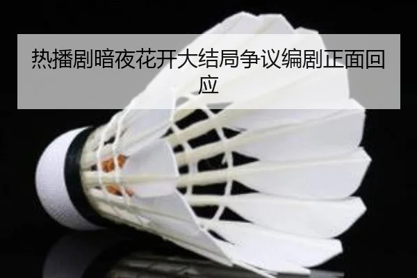热播剧暗夜花开大结局争议编剧正面回应